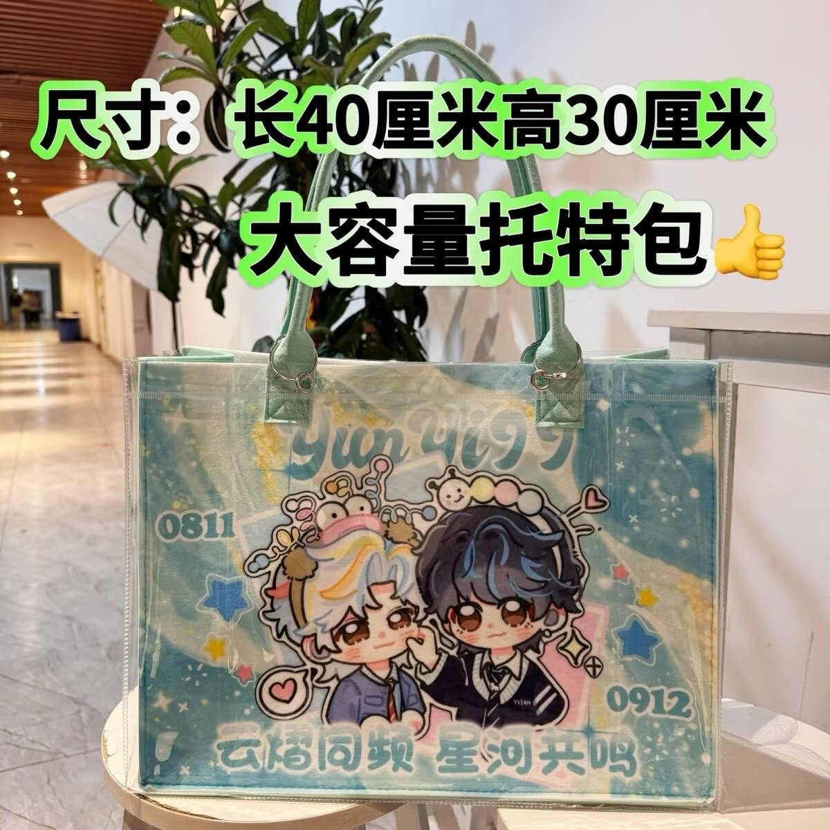 Модифицированная сумка-тоут Yu – обзор и цена Anime Tote Bag